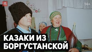 Казаки из Боргустанской | 14+