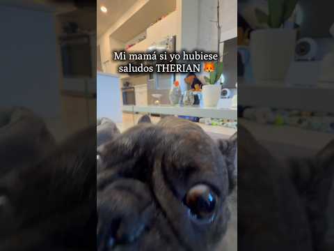 Le conté a mi mamá que soy THERIAN y así reaccionó 🥹🦊