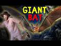 We're Going on a Giant Bat Hunt 🦇 | Cave Adventure Quest + Animal Facts with Explorer Riley!