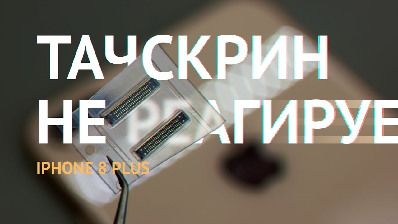 Замена коннектора тачскрина Apple iPhone 8 Plus: дисплей Айфон не ...