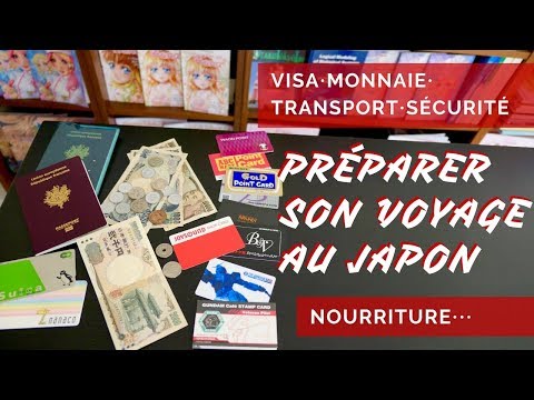 Vidéo: Comment Se Rendre Au Japon ?