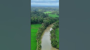 Aliran sungai yang menenangkan, diapit sawah hijau dan jembatan kecil yang menyatukan dua desa #alam