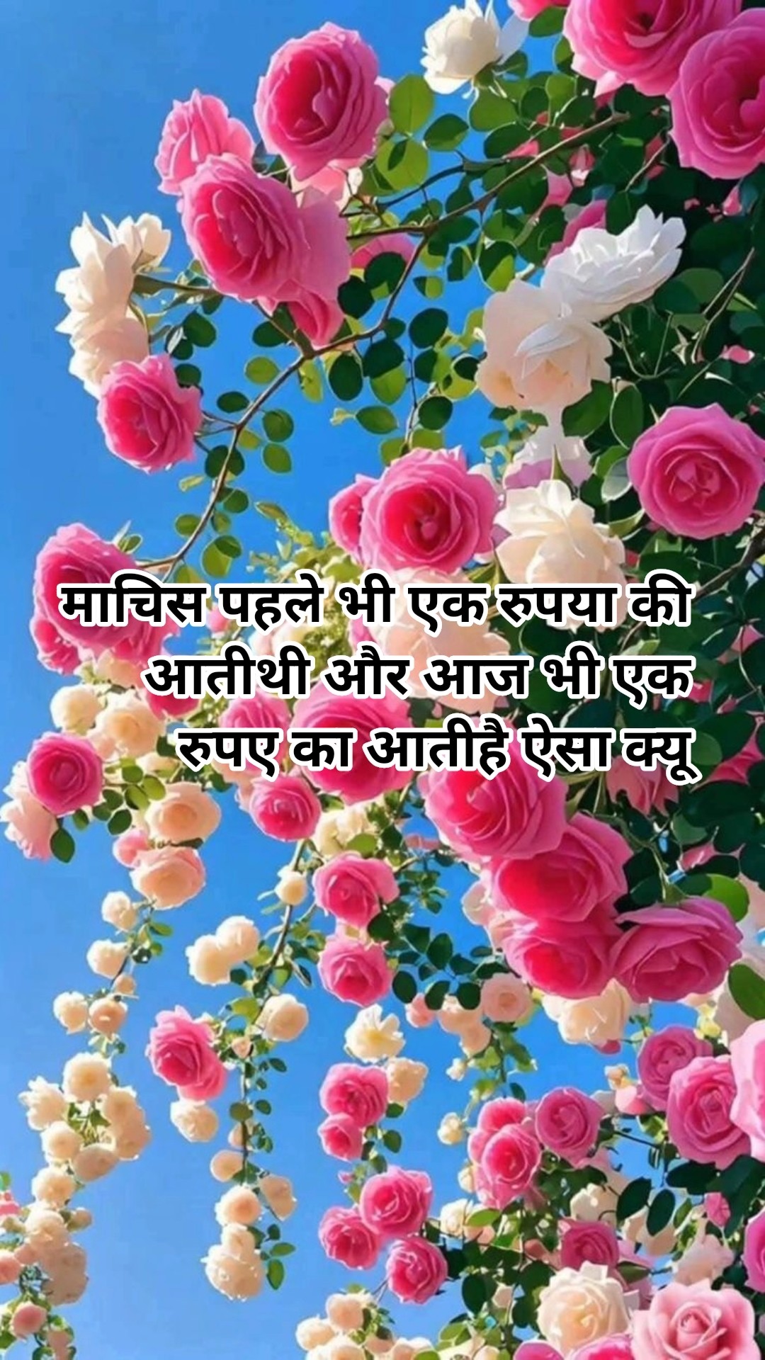 यूट्यूब चैनल - ShareChat