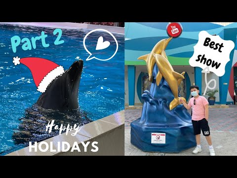 Dubai Dolphinarium 2020| Full show | Part 2 | An Exciting show | Vlog 18 and 19