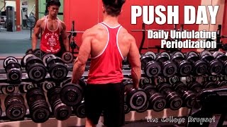 HITTING CHEST, TRIS, & DELTS | The Daily Undulating Periodization Way | The College Dropset Ep.2