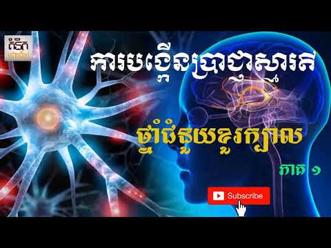 ការបង្កើនប្រាជ្ញា ភាគទី១ -  ថ្នាំជំនួយខួរក្បាល