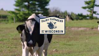 Short Film: Life On The Farm