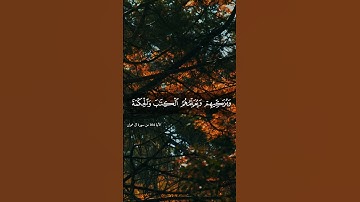 قران كريم حالات واتساب دينية  - القارئ ياسر الدوسرى