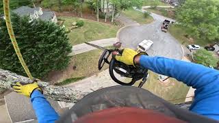 REMOVING A LARGE OAK TREE (RIGGING SHOW)