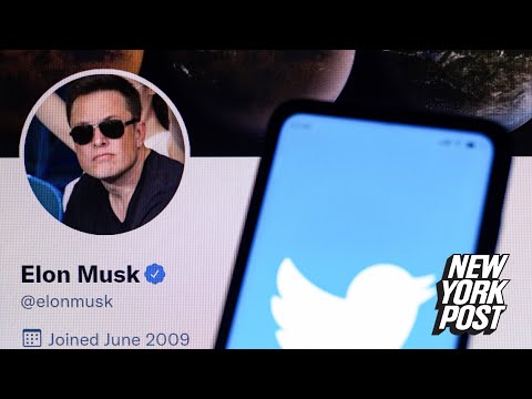 Conservatives question huge spikes in Twitter followers after Elon Musk takeover | New York Post