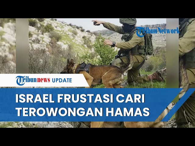 Pasukan Israel Kehabisan Akal Cari Posisi Hamas di Terowongan, Pasrahkan Nasib ke Anjing Pelacak class=