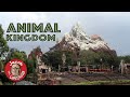 Animal Kingdom - The Infamous Yeti, Pandora and More