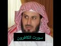 شیخ سعد الغامدی   