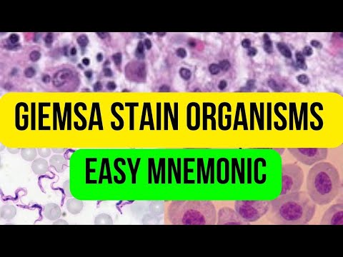 Giemsa Stain Organisms Easy Mnemonic