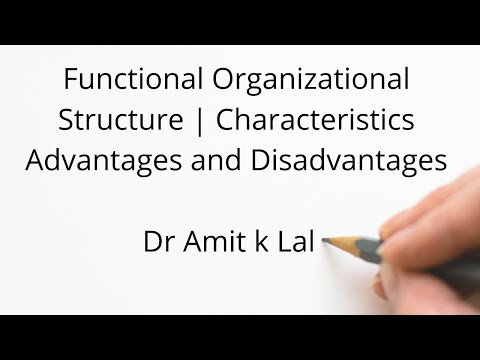 Video: Hva kjennetegner funksjonell organisasjon?