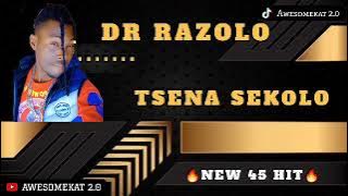 DR RAZOLO_ TSENA SEKOLO (NEW 45 HIT) Prod. Mikelmike