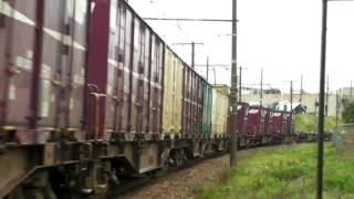 JR貨物 72レ EF65-116号機