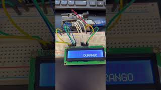 Details CE 351 LCD Scroll Update