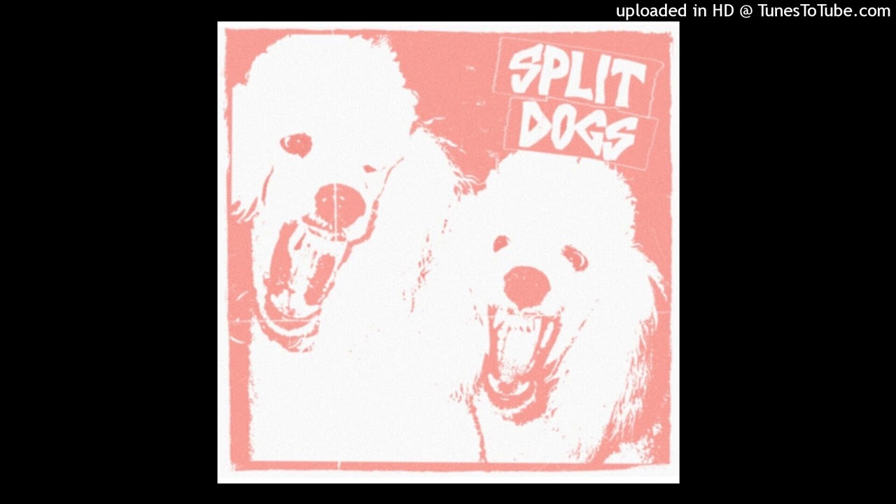 Watch Split Dogs - Prison Bitch on YouTube Watch Split Dogs - Prison Bitch on YouTube