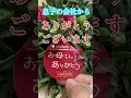 毎年送られてくる母の日のプレゼント　【息子の会社からのプレゼント】