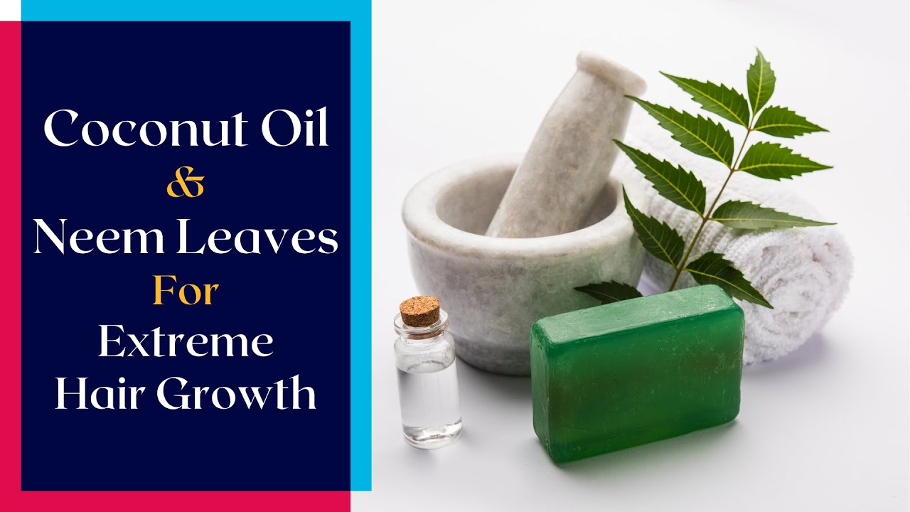 How to Make Hair Grow Faster with Coconut Oil and Neem Leaves DIY Oil