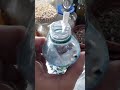 video grabado por un cliente satisfecho con el envío