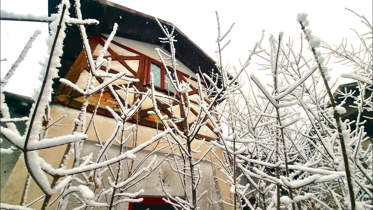 INTRU ÎN CONACUL ASCUNS AL CELEI MAI MARI FAMILII DE BOIERI DIN ROMÂNIA, ASTĂZI UN LOC PĂRĂSIT!