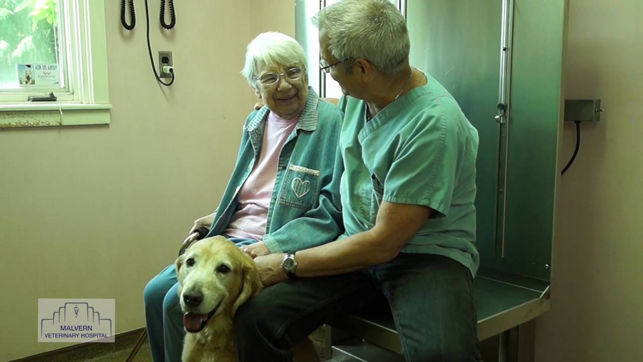 Malvern Veterinary Hospital YouTube