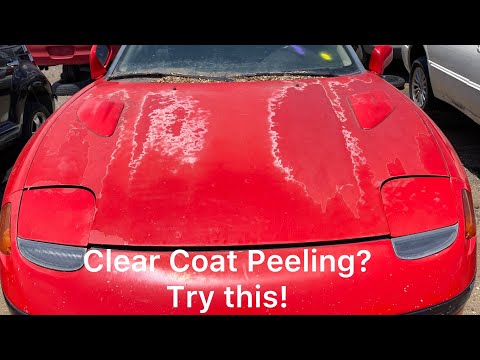 How To Restore Old Single Stage Red Base Coat Back To Like New