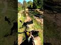 Double Line with many Tricks #mtb #dirtbiketricks
