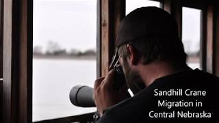 Sandhill Crane Migration in Nebraska
