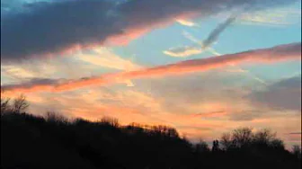 thank you.wmv thank you.wmv