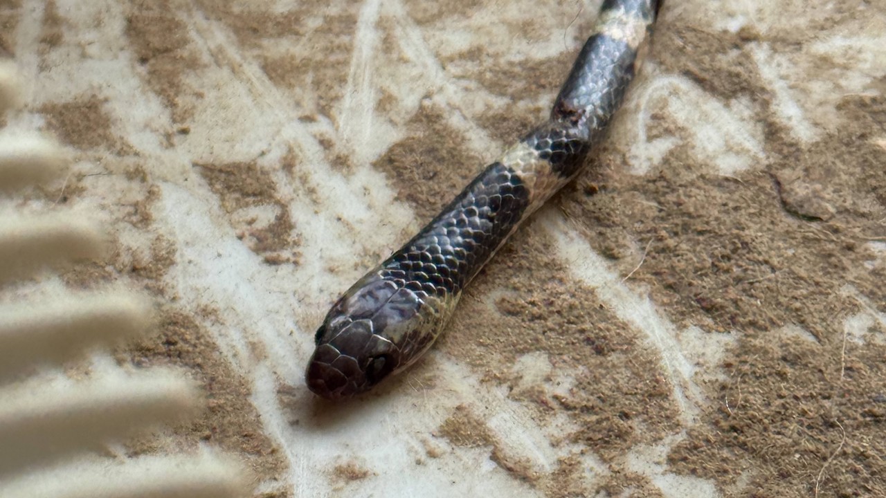 Pientä säätöä ja reissuun.