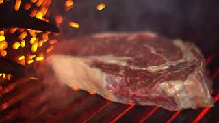 The levels of beef pt.2