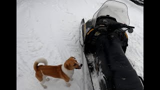Monte&#39;s First Snowmobile Ride