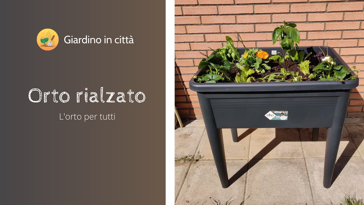 Orto rialzato - Piccolo orto in poco spazio sul balcone o in giardino ...