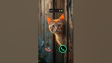 #ringtone #smartphone #music #ringtones #song #funnycallringto #funny #iphoneringtone #cat #callm