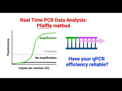 Real Time PCR data analysis using Pfaffle method | step-by-step tutorial |
