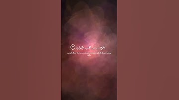 سورة الطارق 1- 10