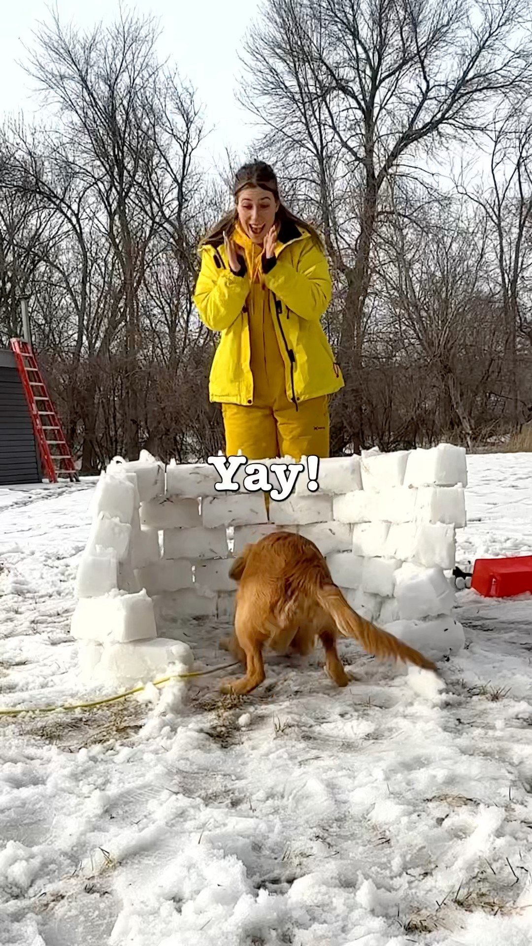 Surprising My Puppy With An Igloo! ?❄️