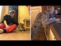 Woman Lives With Adorable Pet Puma