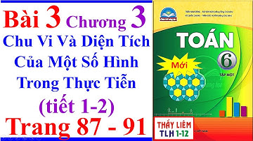 Toán Lớp 6 Chân Trời Sáng Tạo Bài 3 Chương 3 Chu vi và diện tích của một số hình Trang 87 91 Tiết 1