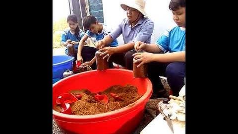 Lớp đi học trải nghiệm tại Khu nông nghiệp công nghệ  cao Củ Chi(2)