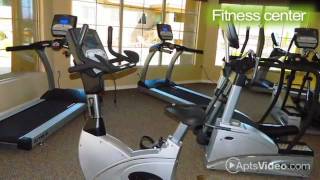 Place at Creekside, The Apartments in Tucson, AZ - ForRent.com