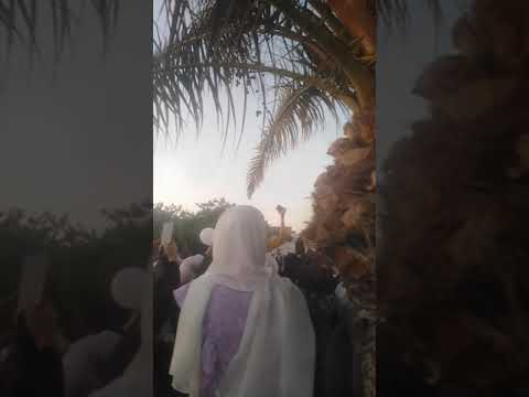 ليبيا في قرقارش في المنتزة 