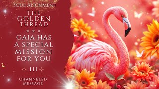 I Was Shown The MOMENT You Became DIVINELY FAVORED