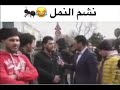 شم النمل تشكيلة جديدة مقاطع مضحكة شم النمل تشكيلة جديدة مقاطع مضحكة