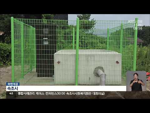 2026. <strong>07</strong>. 15. KBS강릉 930뉴스