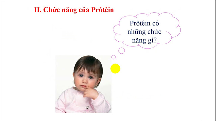 Cấu trúc hóa học của protein sinh học 10 năm 2024