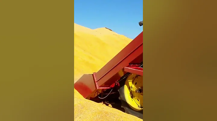 Pick up piles of grain quickly with the 11,000 BPH...